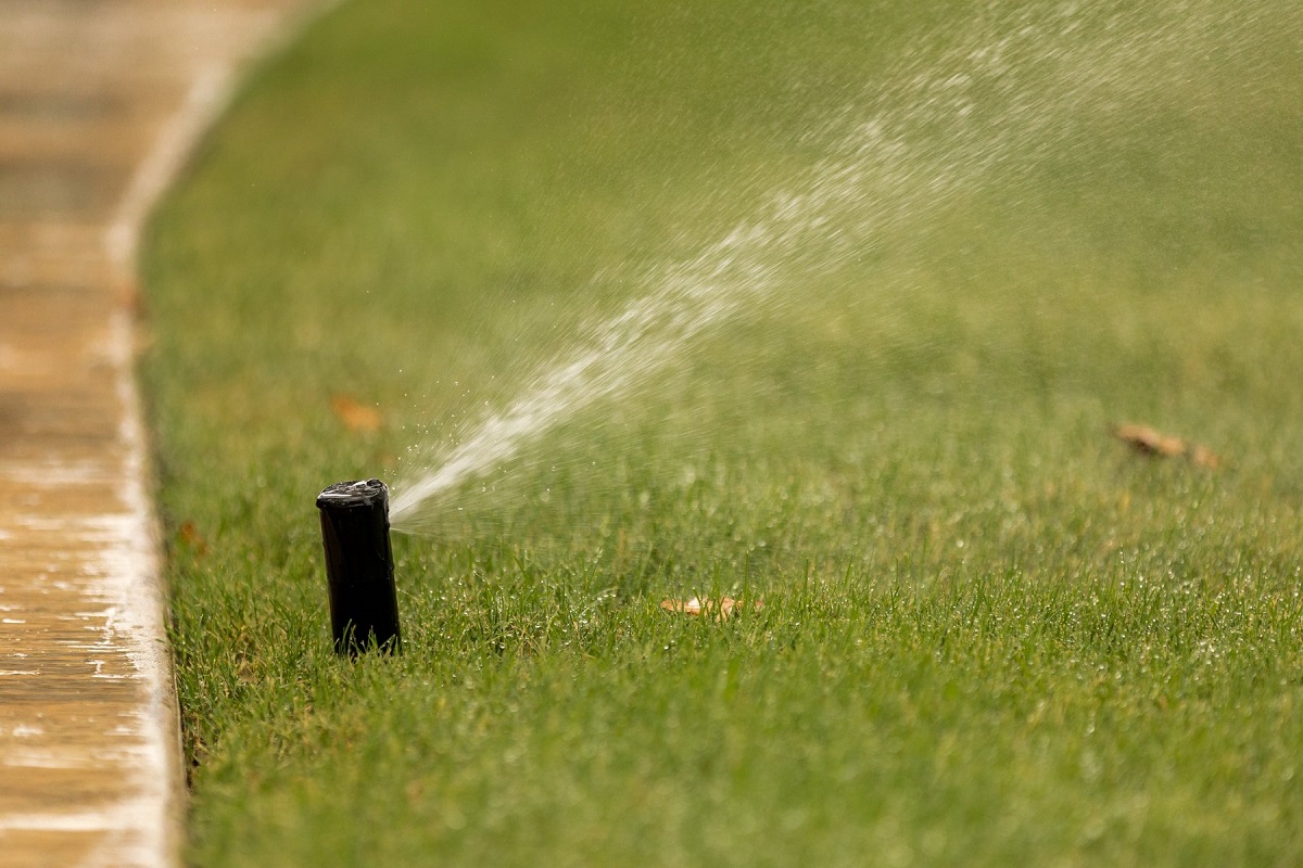 Sprinklers & Watering Your Lawn [Ultimate Guide]