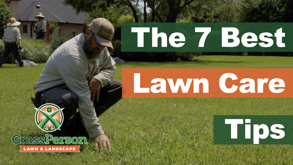 4 Best Grass Types for Arlington, Texas